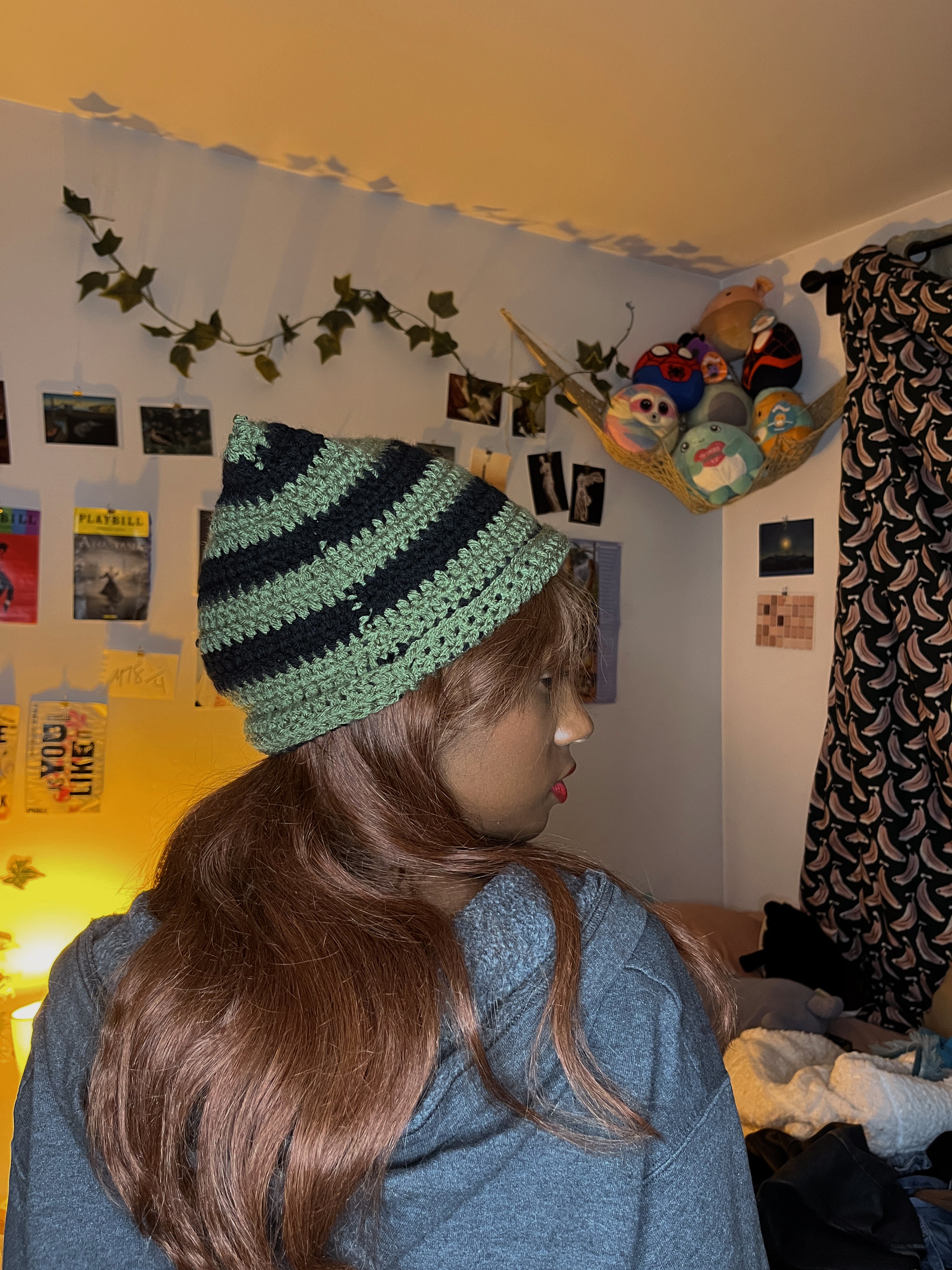 cat hat